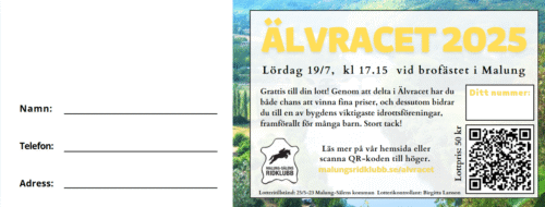 Lott älvracet